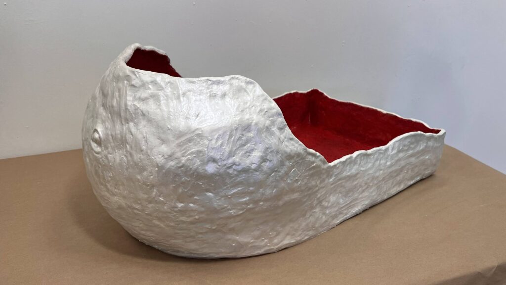 IMG 2592 Edited 1024x576